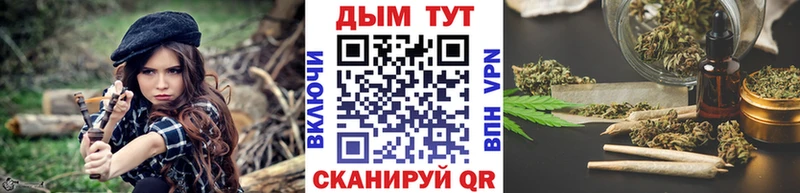 где можно купить наркотик  Фролово  Канабис VHQ 